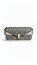 Baguette Bag Celiné